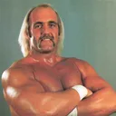 Hulk Hogan, Most popular WWE wrestlers