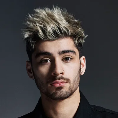 Zayn, Related people