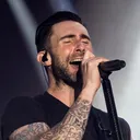 Adam Levine, Most popular Singers