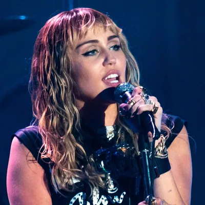 Miley Cyrus, Related people