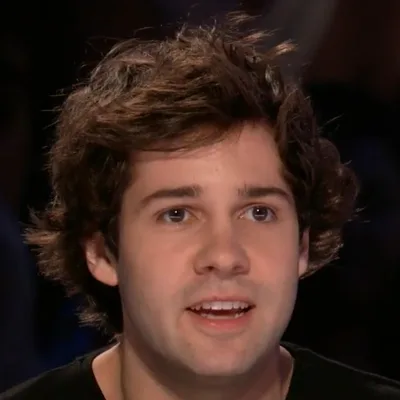 David Dobrik, Related people